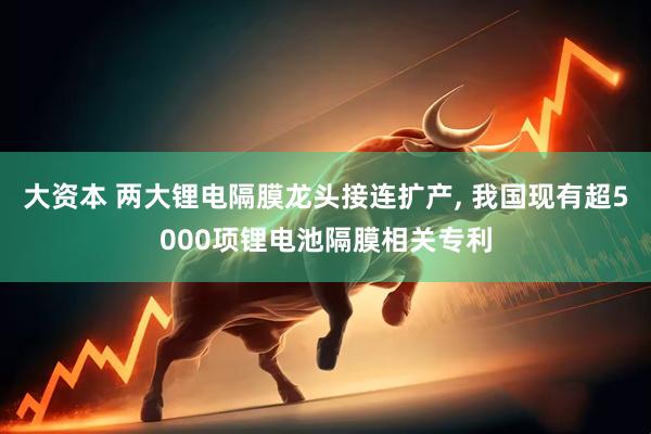 大资本 两大锂电隔膜龙头接连扩产, 我国现有超5000项锂电池隔膜相关专利